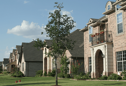 a row of large, multi-story brick suburban houses with well-maintained green lawns and a young tree in the foreground
