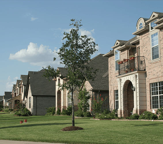 a row of large, multi-story brick suburban houses with well-maintained green lawns and a young tree in the foreground